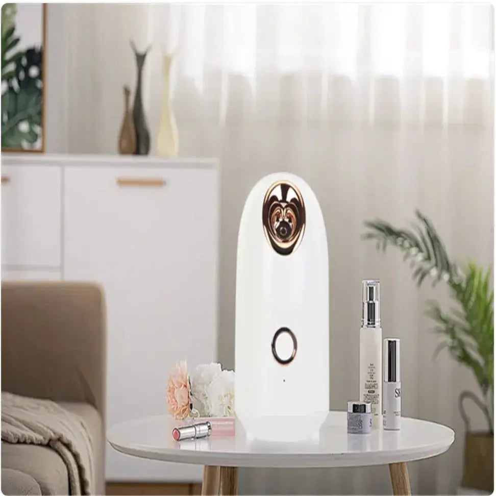 Glow Mist Beauty Steamer Direct x