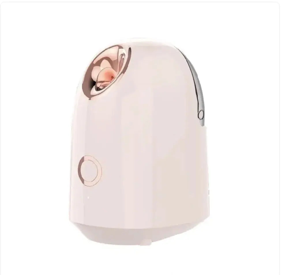 Glow Mist Beauty Steamer Direct x