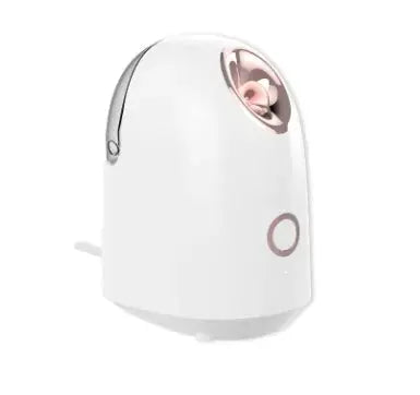 Glow Mist Beauty Steamer Direct x