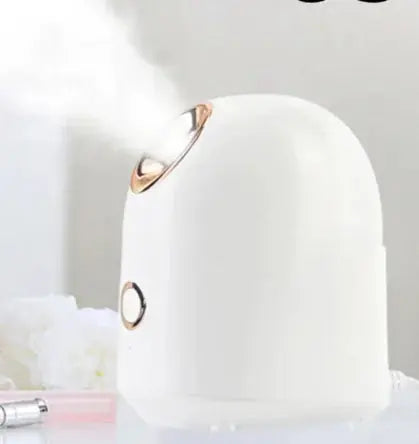 Glow Mist Beauty Steamer Direct x